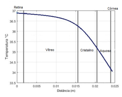 Representation of eye temperature without the source