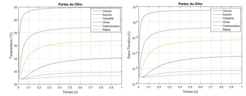 Graph of temperature of the parts of the eye