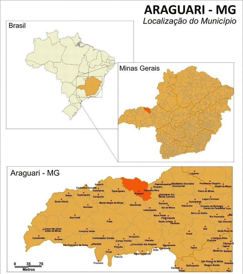Location map of the city of Araguari, MG, Brazil